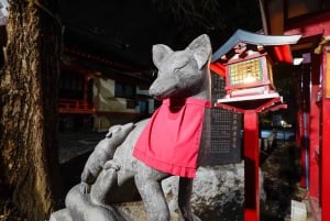 Privat kvällstur med barrunda i Shinjuku Golden Gai
