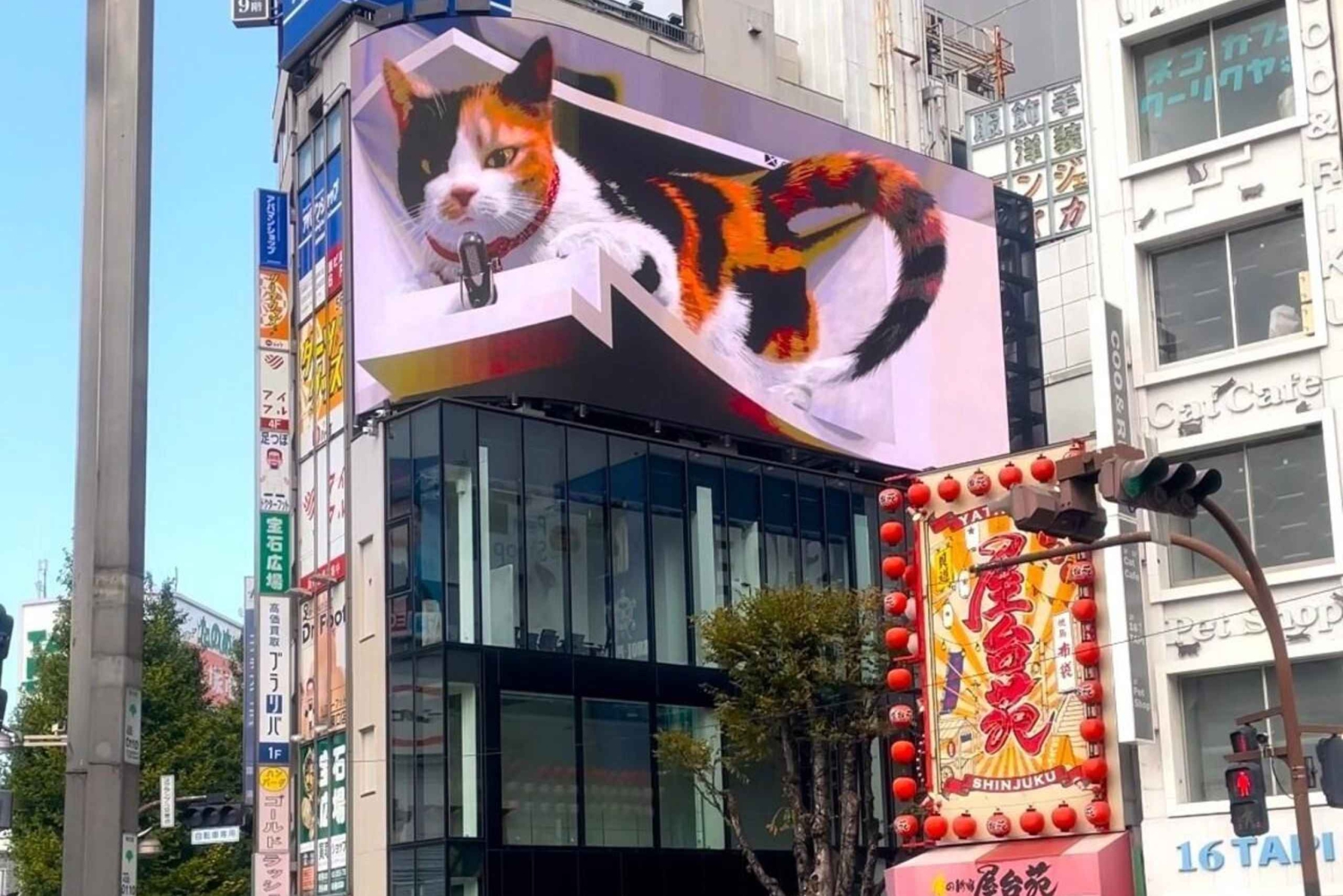 Tokio: Świątynia kotów Gotokuji, kawiarnia dla kotów w Shinjuku i wycieczka z kotem 3D