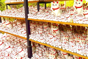 Tokio: Świątynia kotów Gotokuji, kawiarnia dla kotów w Shinjuku i wycieczka z kotem 3D