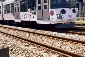 Tokio: Świątynia kotów Gotokuji, kawiarnia dla kotów w Shinjuku i wycieczka z kotem 3D