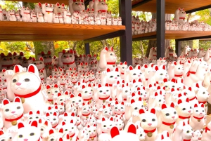 Tokio: Świątynia kotów Gotokuji, kawiarnia dla kotów w Shinjuku i wycieczka z kotem 3D