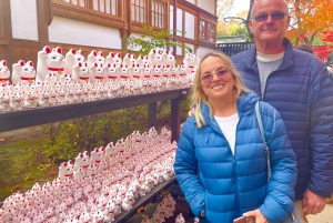 Tokio: Świątynia kotów Gotokuji, kawiarnia dla kotów w Shinjuku i wycieczka z kotem 3D