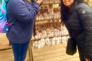 Tokio: Świątynia kotów Gotokuji, kawiarnia dla kotów w Shinjuku i wycieczka z kotem 3D