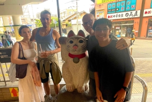 Tokio: Świątynia kotów Gotokuji, kawiarnia dla kotów w Shinjuku i wycieczka z kotem 3D