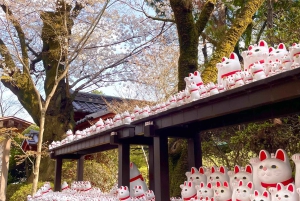 Tokio: Świątynia kotów Gotokuji, kawiarnia dla kotów w Shinjuku i wycieczka z kotem 3D