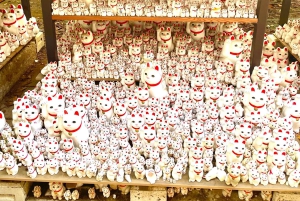 Tokio: Świątynia kotów Gotokuji, kawiarnia dla kotów w Shinjuku i wycieczka z kotem 3D