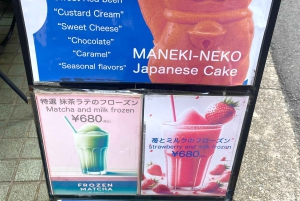 Tokio: Świątynia kotów Gotokuji, kawiarnia dla kotów w Shinjuku i wycieczka z kotem 3D