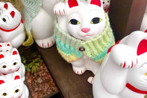 Tokio: Świątynia kotów Gotokuji, kawiarnia dla kotów w Shinjuku i wycieczka z kotem 3D