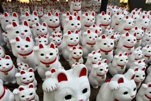 Tokyo: un tour a piedi nei templi unico per gli amanti dei gatti