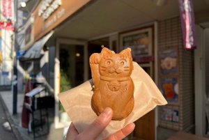 Tokyo: un tour a piedi nei templi unico per gli amanti dei gatti