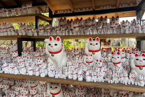 Tokyo: un tour a piedi nei templi unico per gli amanti dei gatti
