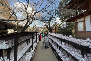 Tokyo: un tour a piedi nei templi unico per gli amanti dei gatti