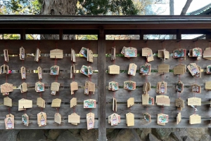 Tokyo: un tour a piedi nei templi unico per gli amanti dei gatti