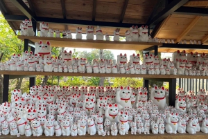 Tokyo: un tour a piedi nei templi unico per gli amanti dei gatti