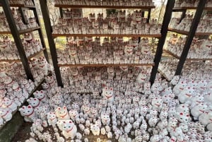 Tokyo: un tour a piedi nei templi unico per gli amanti dei gatti