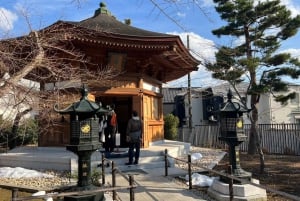 Tokyo: un tour a piedi nei templi unico per gli amanti dei gatti
