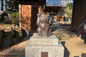 Tokyo: un tour a piedi nei templi unico per gli amanti dei gatti