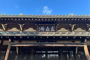 Tokyo: un tour a piedi nei templi unico per gli amanti dei gatti