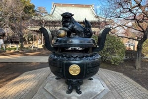 Tokyo: un tour a piedi nei templi unico per gli amanti dei gatti
