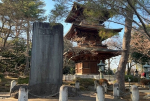 Tokyo: un tour a piedi nei templi unico per gli amanti dei gatti
