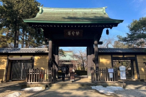 Tokyo: un tour a piedi nei templi unico per gli amanti dei gatti