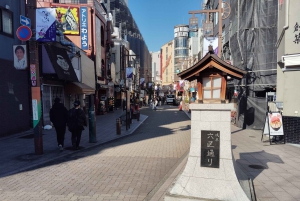 東京：ガイド付き浅草地区とバー巡りツアーをご案内します