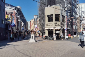 東京：ガイド付き浅草地区とバー巡りツアーをご案内します