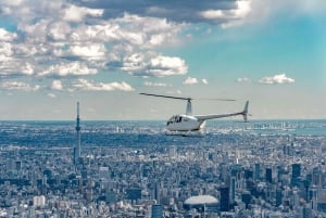 Tokyo: Guided Helicopter Ride with Mount Fuji Option