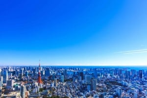 Tokyo: Guided Helicopter Ride with Mount Fuji Option