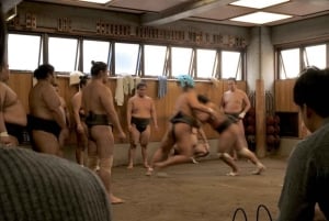 Tokio: Sumo Training Tour mit Sitzplatz am Ring und Fotoshooting