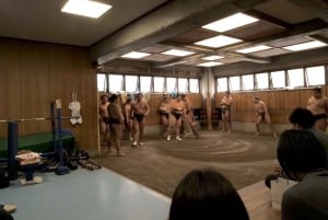 Tokio: Sumo Training Tour mit Sitzplatz am Ring und Fotoshooting