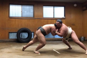 Tokio: Sumo Training Tour mit Sitzplatz am Ring und Fotoshooting