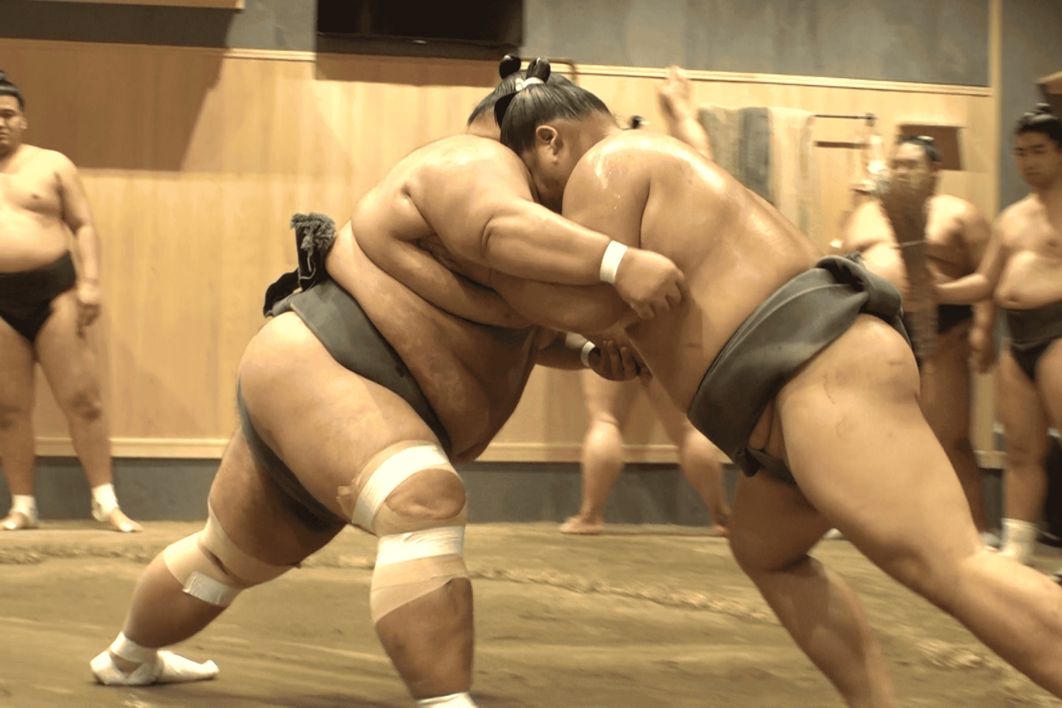 Tokyo: Guided Sumo Wrestlers’ Morning Practice Tour