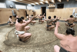 Tokyo: Guided Sumo Wrestlers’ Morning Practice Tour