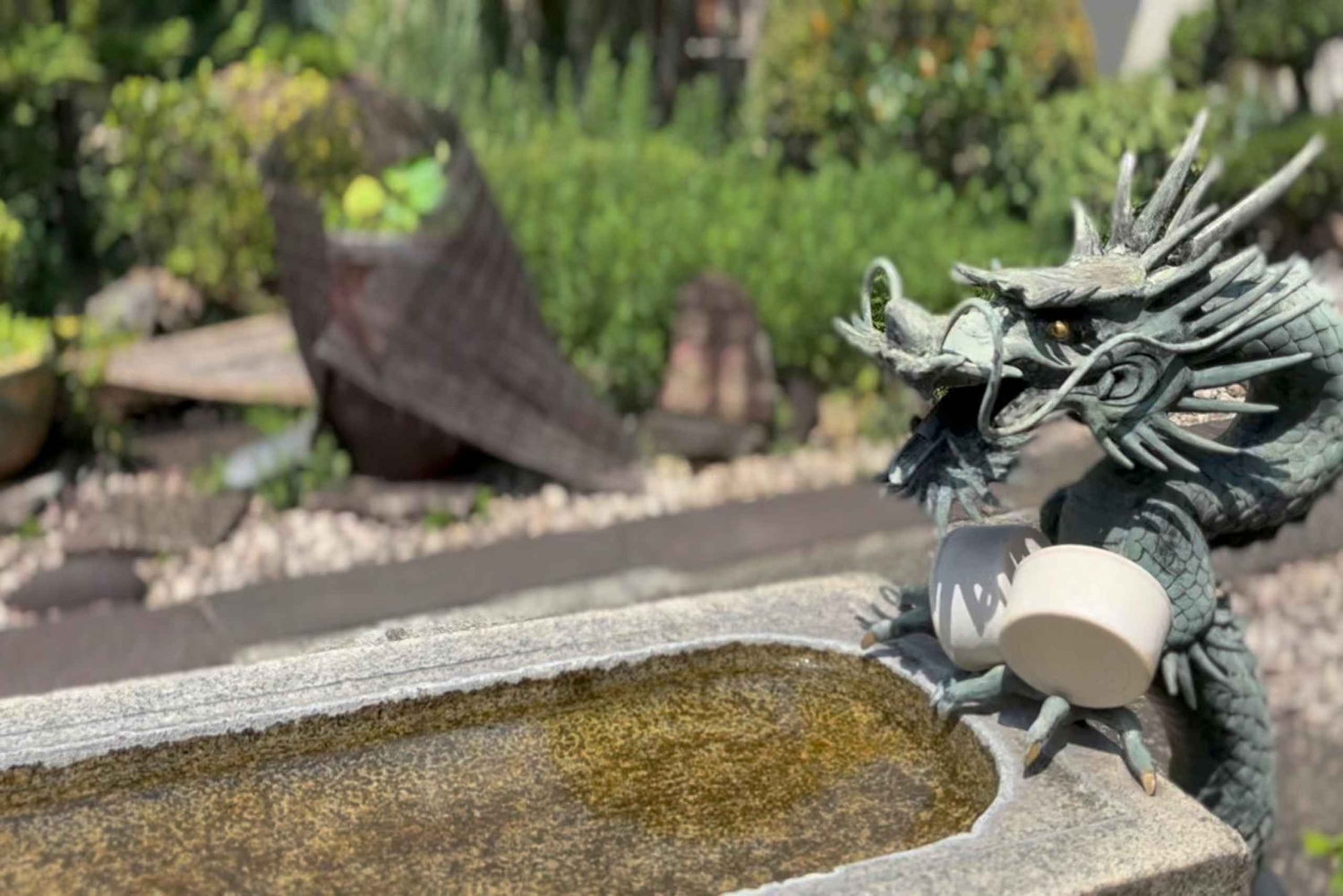 Токио: экскурсия с гидом по японским храмам