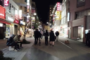 Tokio: Hachioji Bar Hopping Tour met gids