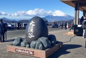 Tokyo: Hakone Fuji Day Tour w/ Cruise, Cable Car, Volcano