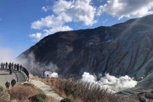 Tokyo: Hakone Fuji Day Tour w/ Cruise, Cable Car, Volcano