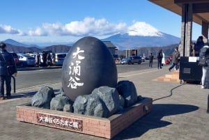 Tokyo: Hakone Fuji Day Tour w/ Cruise, Cable Car, Volcano