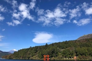 Tokyo: Hakone Fuji Day Tour w/ Cruise, Cable Car, Volcano