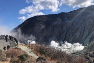 Tokyo: Hakone Fuji Day Tour w/ Cruise, Cable Car, Volcano
