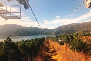 Tokyo: Hakone Fuji Day Tour w/ Cruise, Cable Car, Volcano