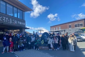 Tokyo: Hakone Fuji Day Tour w/ Cruise, Cable Car, Volcano