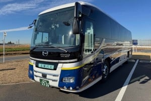 Tokyo: Hakone Fuji Day Tour w/ Cruise, Cable Car, Volcano