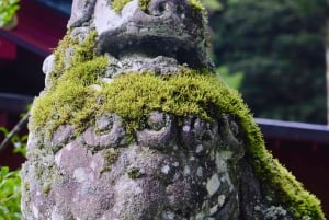 Tokio: Ganztägige private Führung durch Hakone mit Abholung