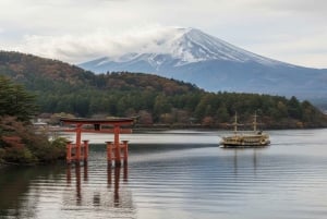 Tokio: Ganztägige private Führung durch Hakone mit Abholung
