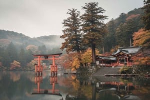 Tokio: Ganztägige private Führung durch Hakone mit Abholung