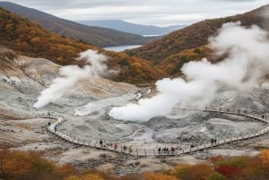 Tokio: Ganztägige private Führung durch Hakone mit Abholung