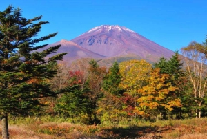Tokio: Hakone, góra Fuji, rejs, kolejka linowa, lunch, Shinkansen