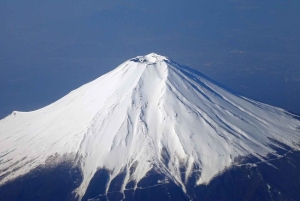Tokio: Hakone, góra Fuji, rejs, kolejka linowa, lunch, Shinkansen